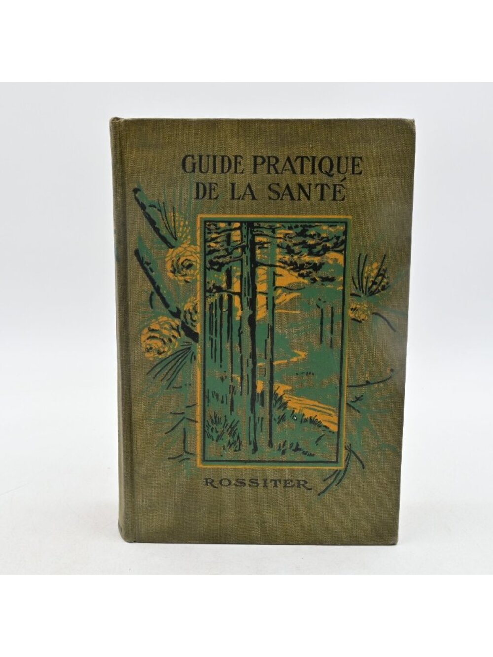Pacific Press Le Guide Pratique De La Santé Frederic Rossiter 1913 French Book